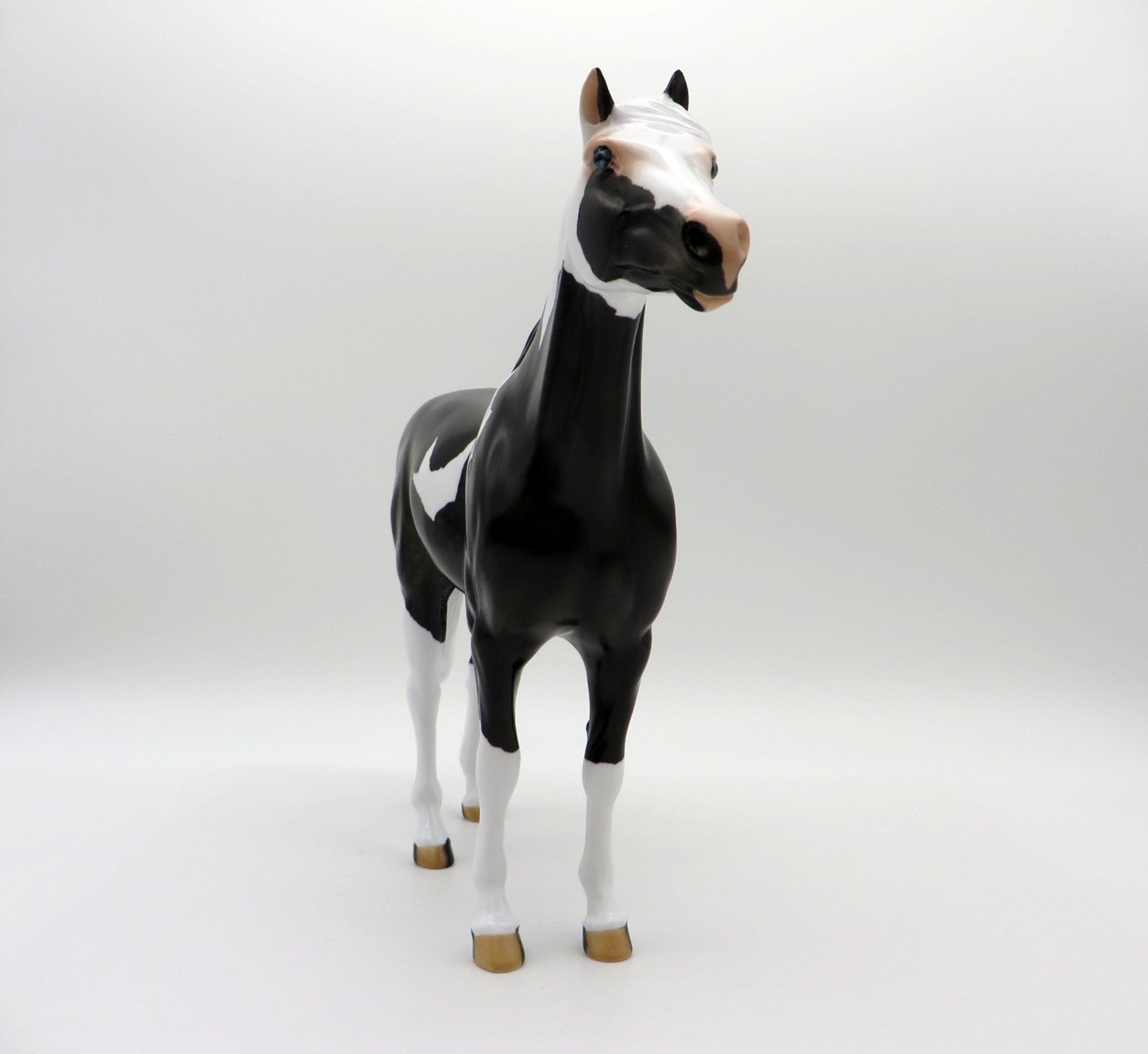 Renegade-OOAK Dapple Black Pinto Mustang SHCF 2021