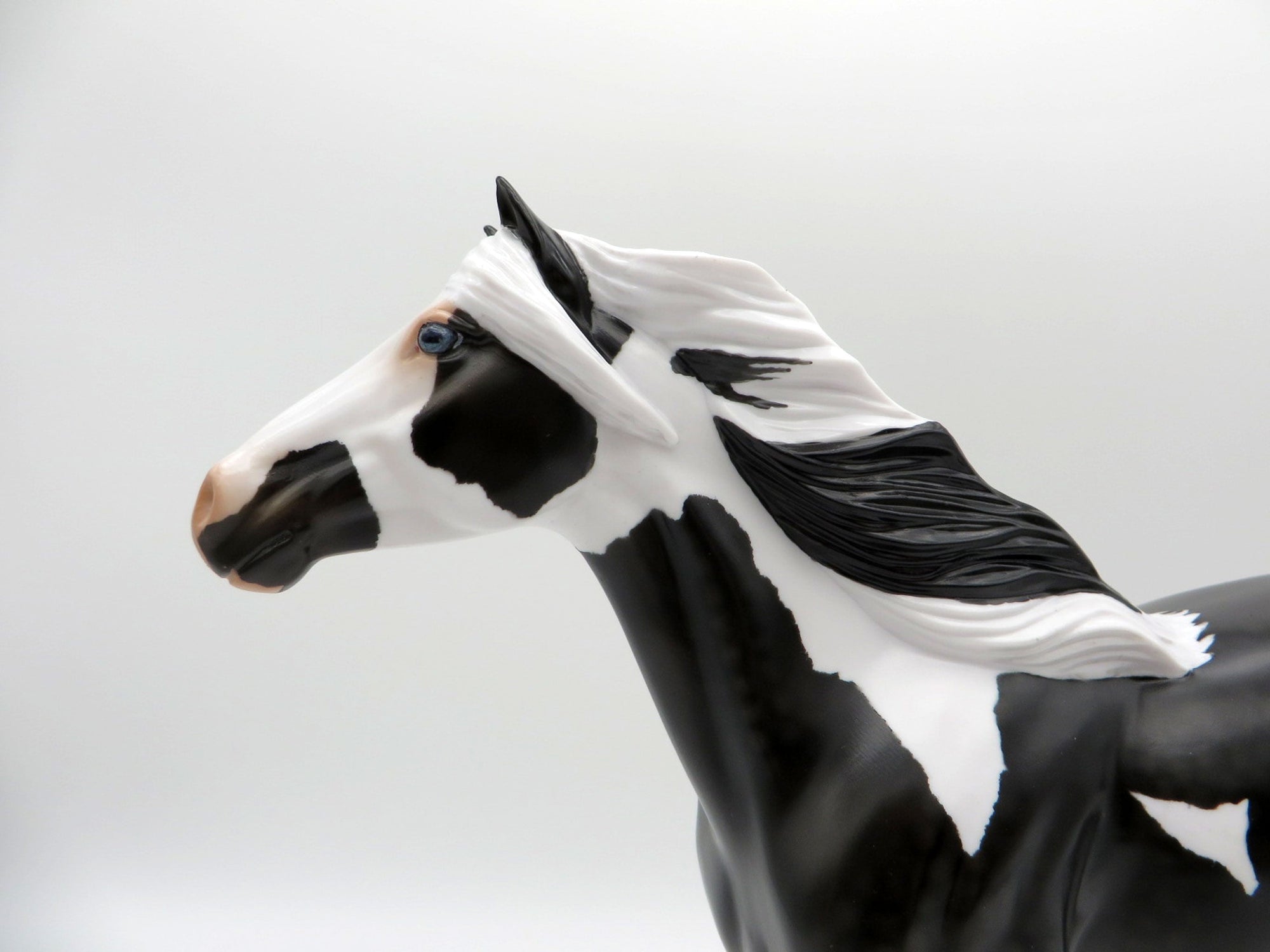 Renegade-OOAK Dapple Black Pinto Mustang SHCF 2021