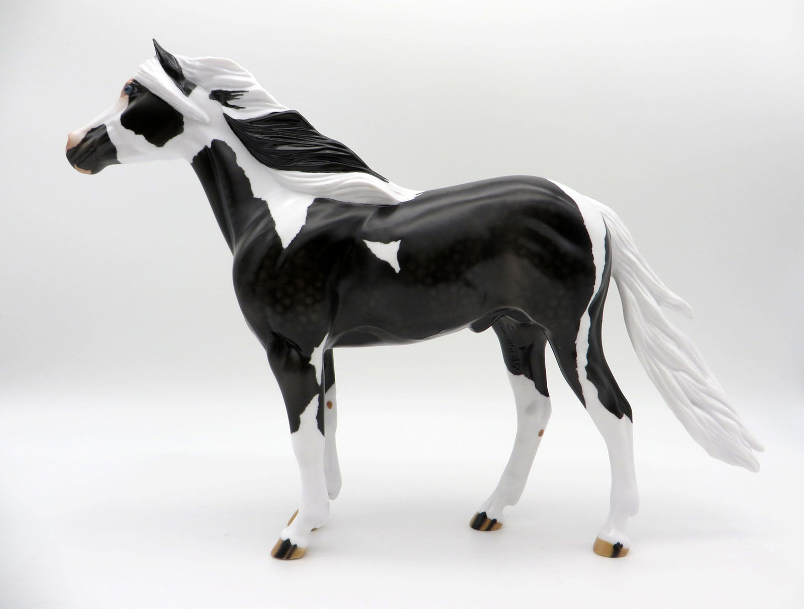 Renegade-OOAK Dapple Black Pinto Mustang SHCF 2021