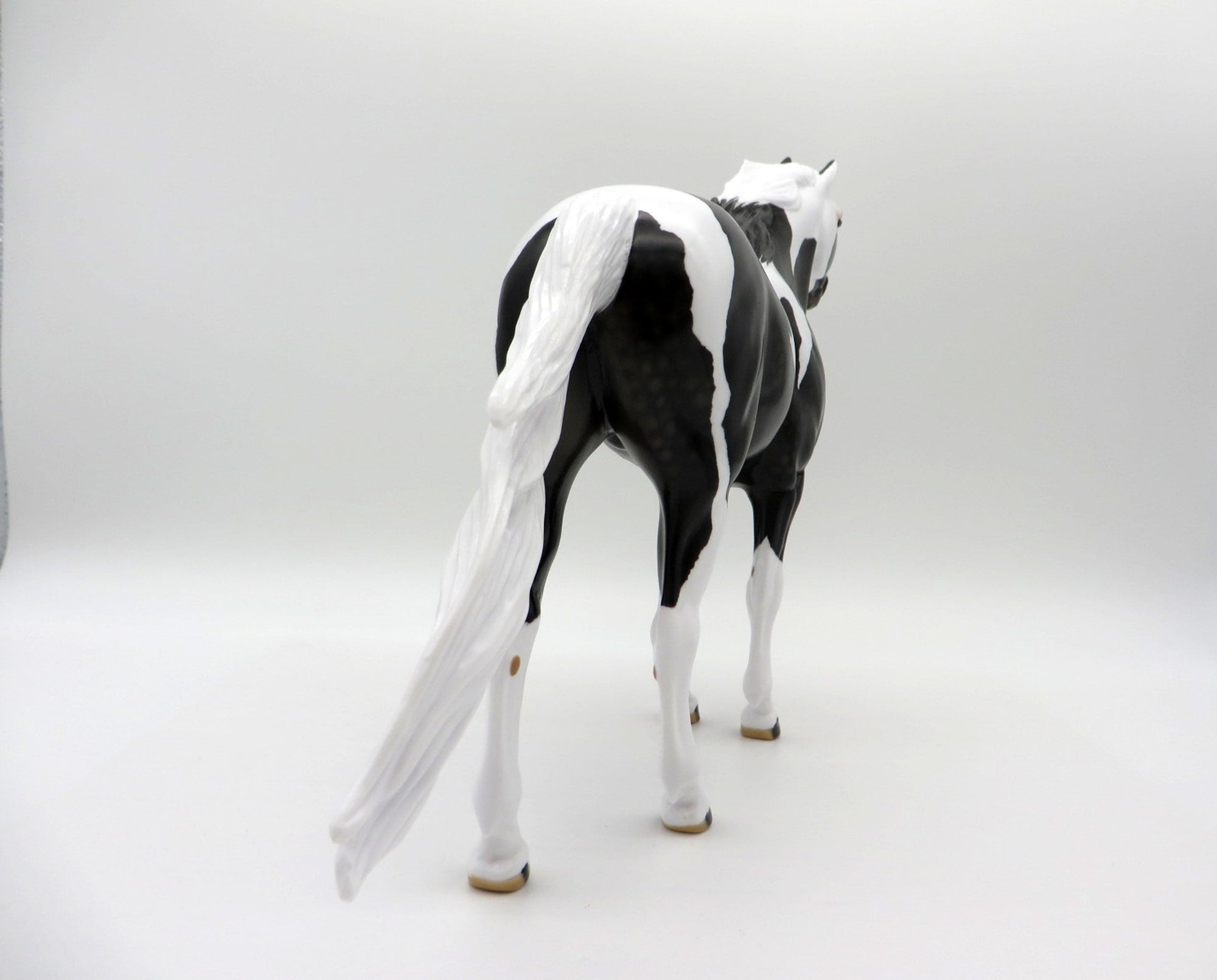 Renegade-OOAK Dapple Black Pinto Mustang SHCF 2021