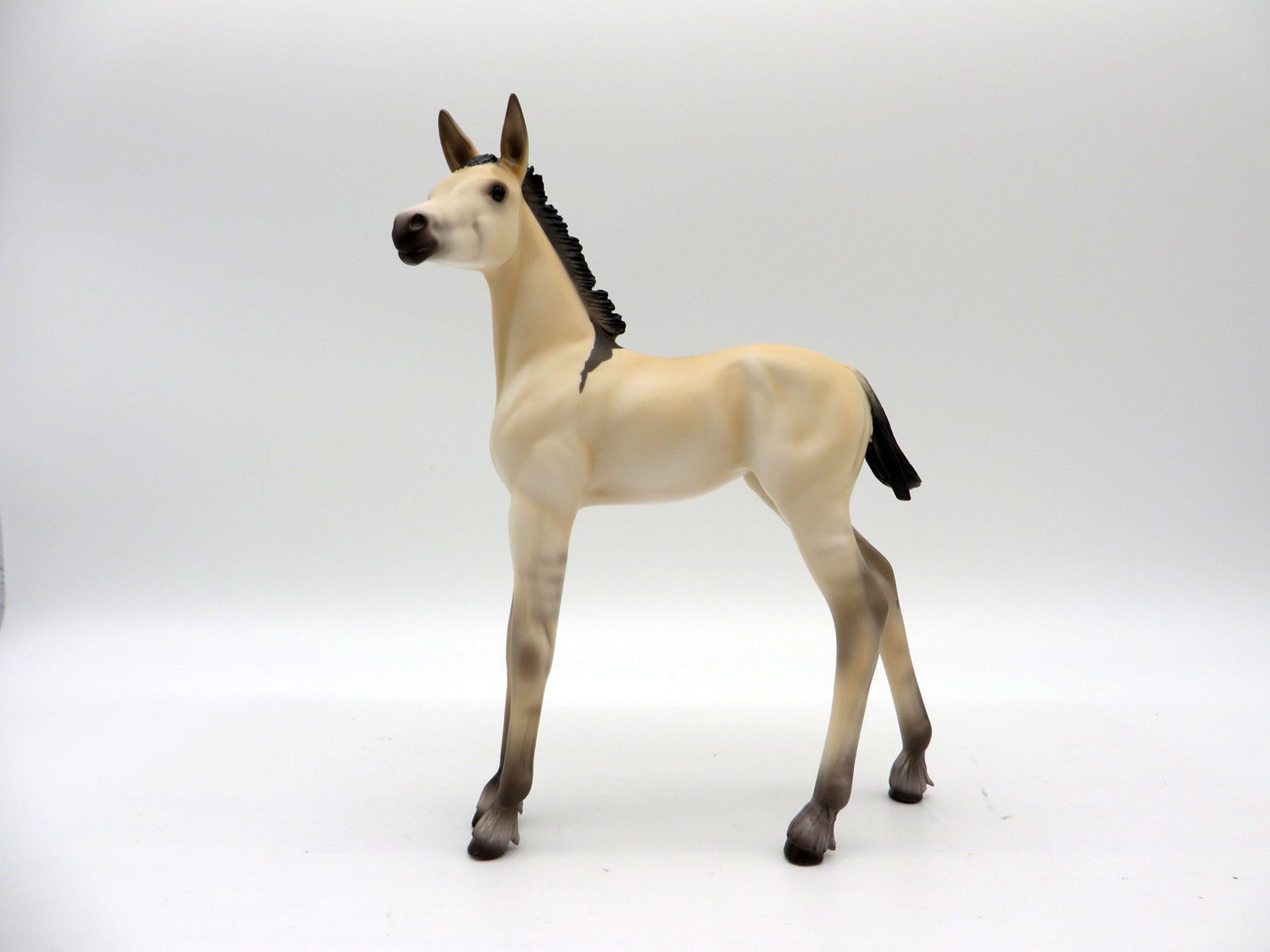 Resident Evil- OOAK Dun Arabian Foal Mule Painted by Ellen MM 2021