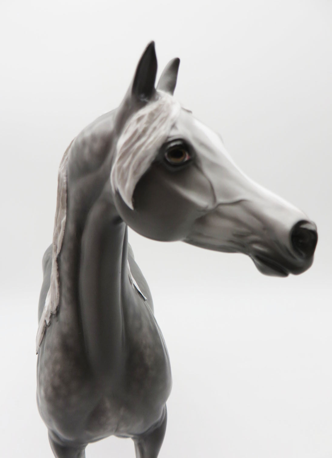 Resolution - OOAK - Dappled Steel Grey Arabian Stallion by Sheryl Leisure - Best Offers 1/16/23