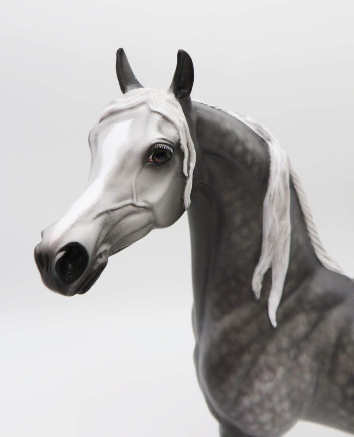 Resolution - OOAK - Dappled Steel Grey Arabian Stallion by Sheryl Leisure - Best Offers 1/16/23