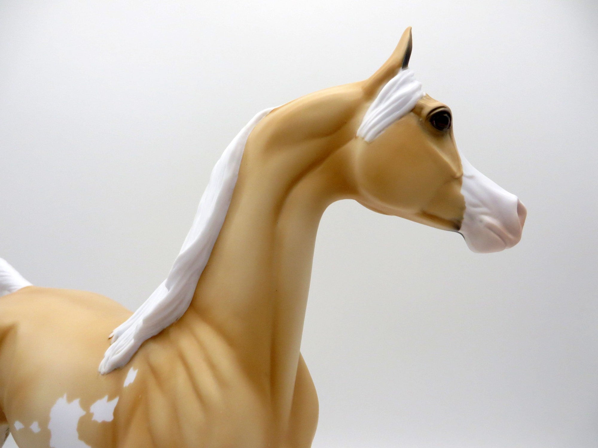 Reva-OOAK Palomino Arabian   SHCF 2021