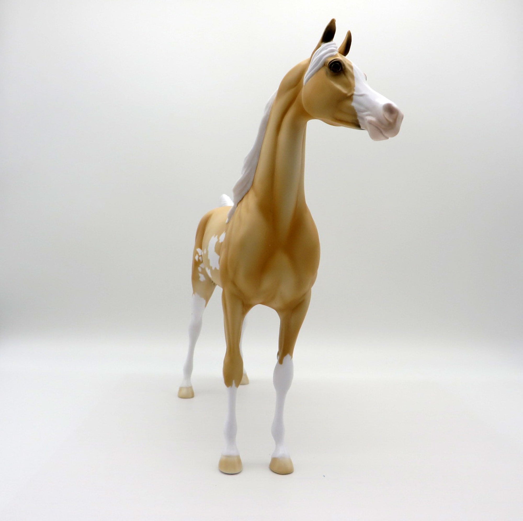 Reva-OOAK Palomino Arabian   SHCF 2021