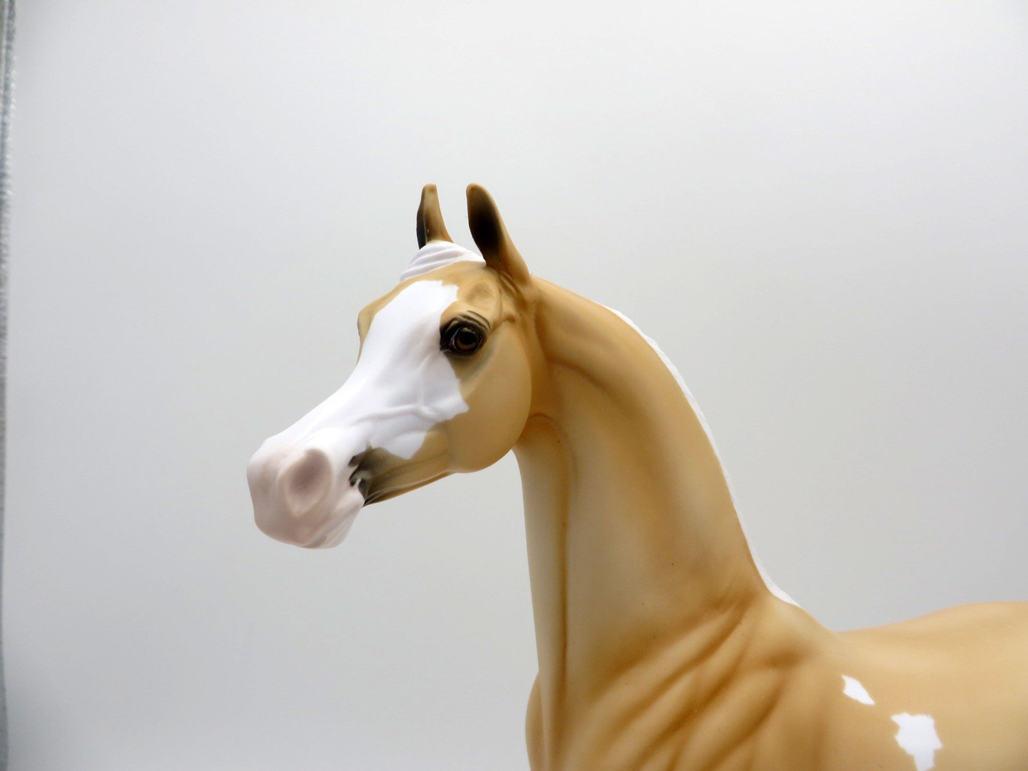 Reva-OOAK Palomino Arabian   SHCF 2021