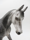 Rex - OOAK - Dappled Grey Thoroughbred by Jess Hamill - Best Offers 1/23/23