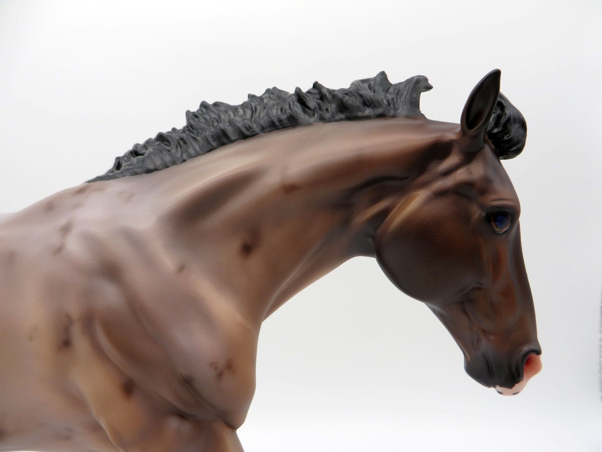 Rhine-OOAK Bay Roan Running Stock Horse By Carlione Boydston 3/29/21