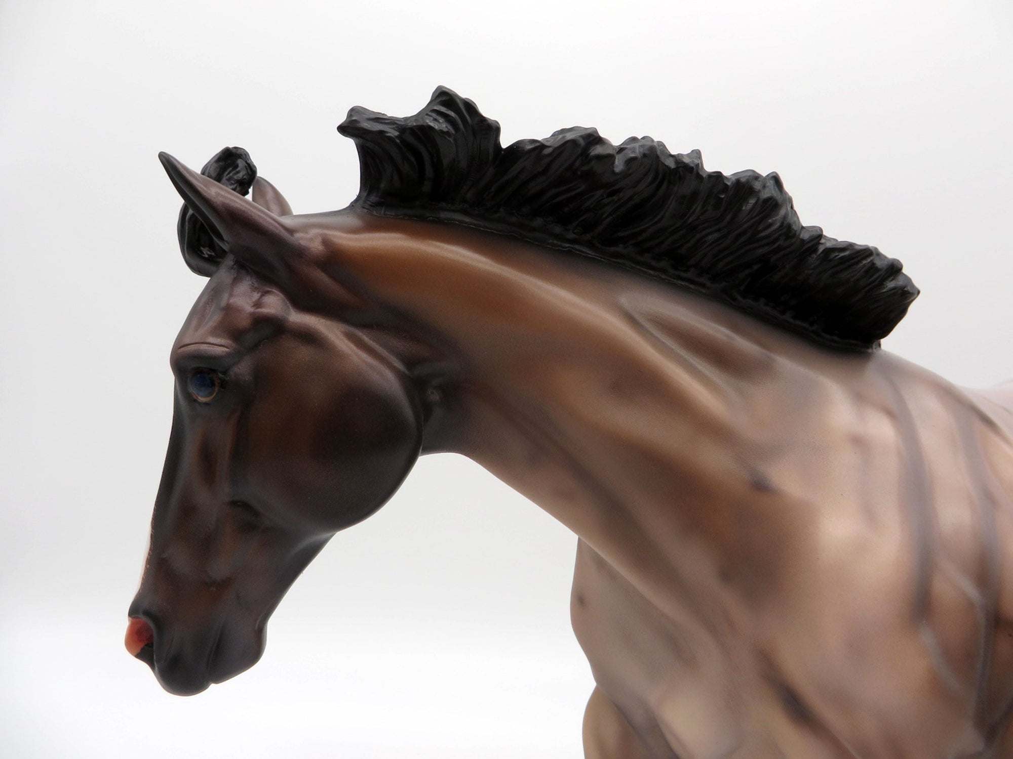 Rhine-OOAK Bay Roan Running Stock Horse By Carlione Boydston 3/29/21