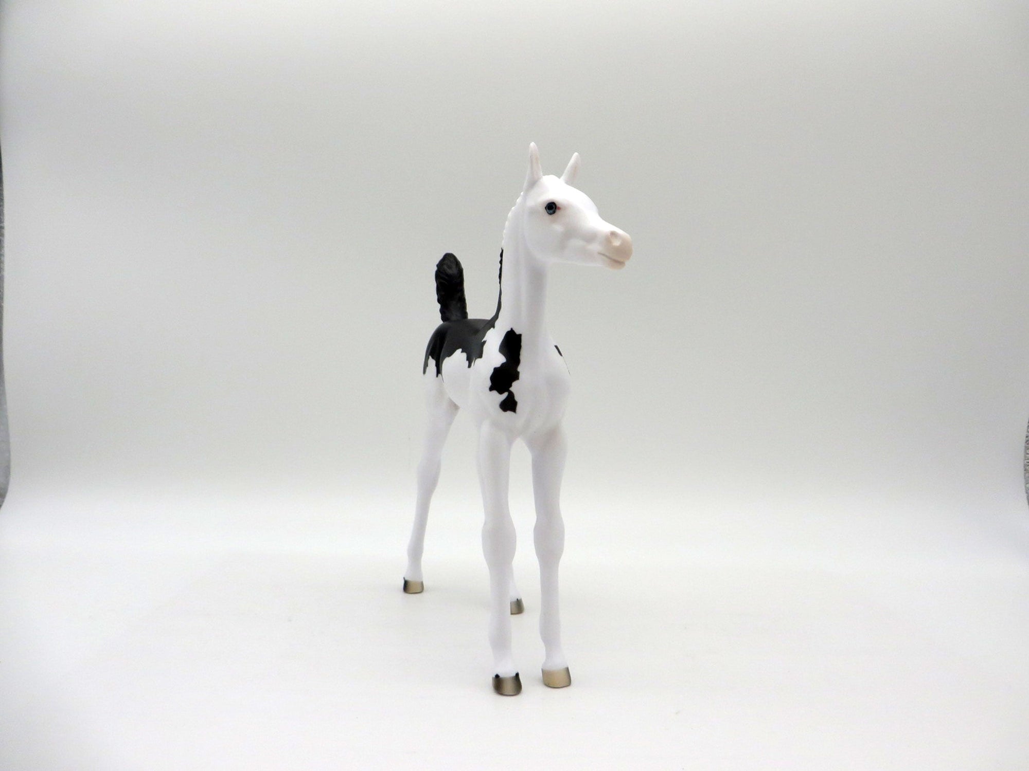 Rhonda-OOAK Black and White Paint Foal 5/21/21