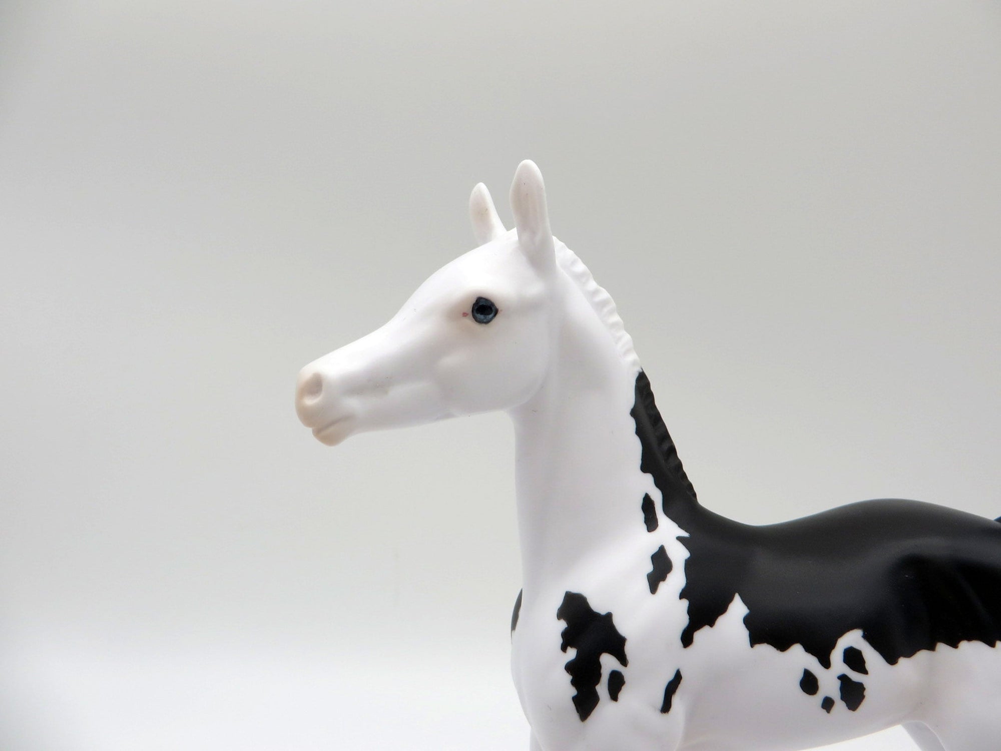 Rhonda-OOAK Black and White Paint Foal 5/21/21