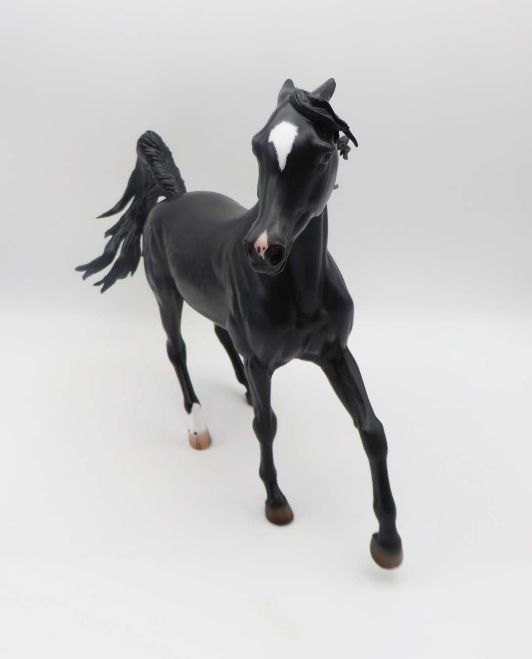 Rhoads-OOAK Pinned Ear Dapple Black Arabian By Caroline Boydston 3/17/23