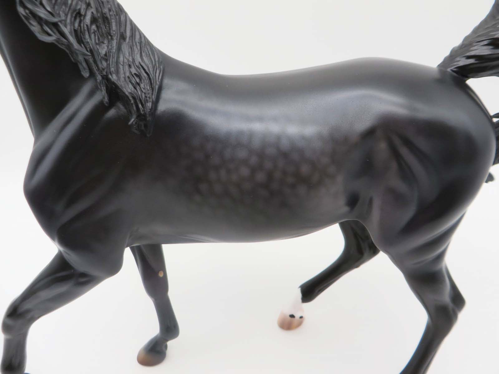 Rhoads-OOAK Pinned Ear Dapple Black Arabian By Caroline Boydston 3/17/23