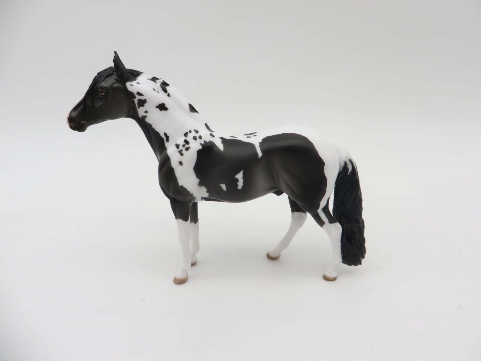 Ricardo - OOAK - Black Pinto Morgan By Donna Fredley - SHCF23