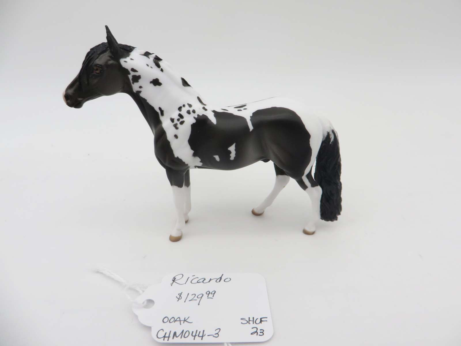 Ricardo - OOAK - Black Pinto Morgan By Donna Fredley - SHCF23