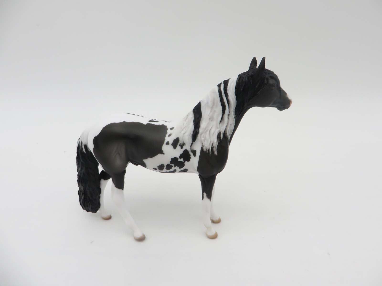 Ricardo - OOAK - Black Pinto Morgan By Donna Fredley - SHCF23