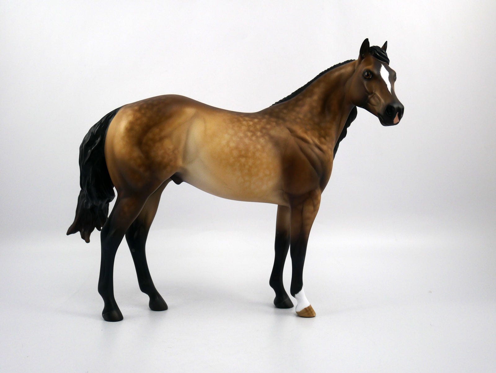 Ritchie-OOAK Dapple Buckskin ISH  Painted by Sheryl Leisure 1/20