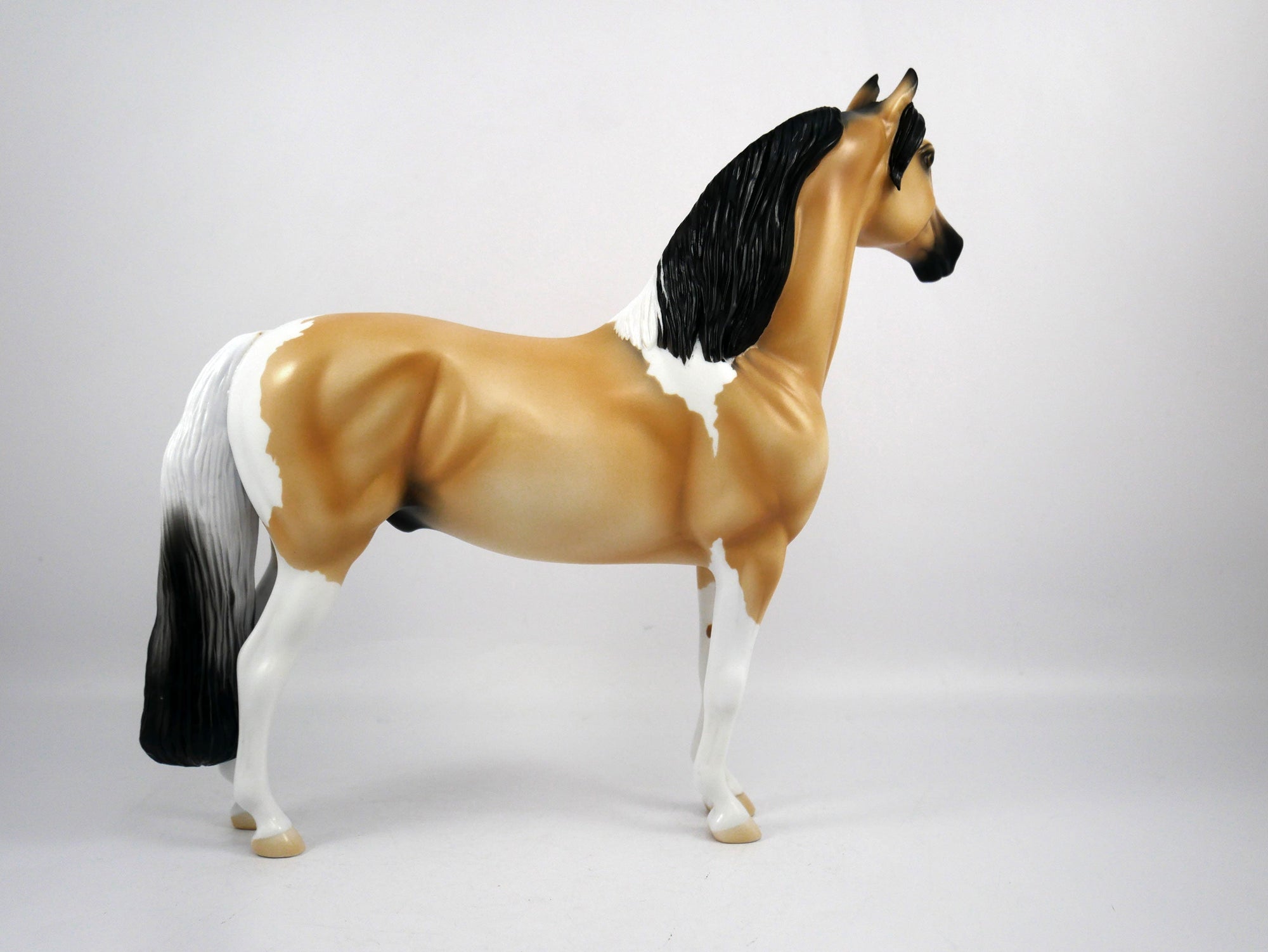 Ricky-OOAK Buckskin Paint Morgan by Ellen 1/29/21