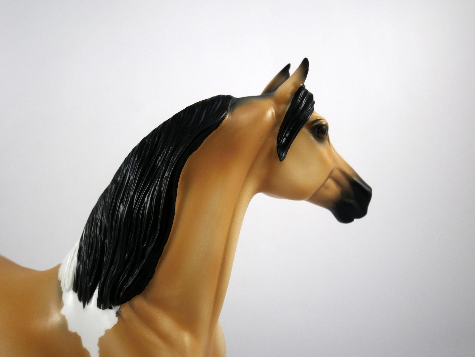 Ricky-OOAK Buckskin Paint Morgan by Ellen 1/29/21