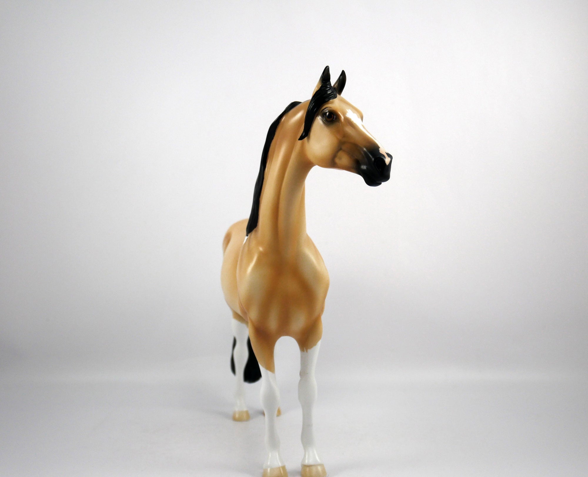 Ricky-OOAK Buckskin Paint Morgan by Ellen 1/29/21