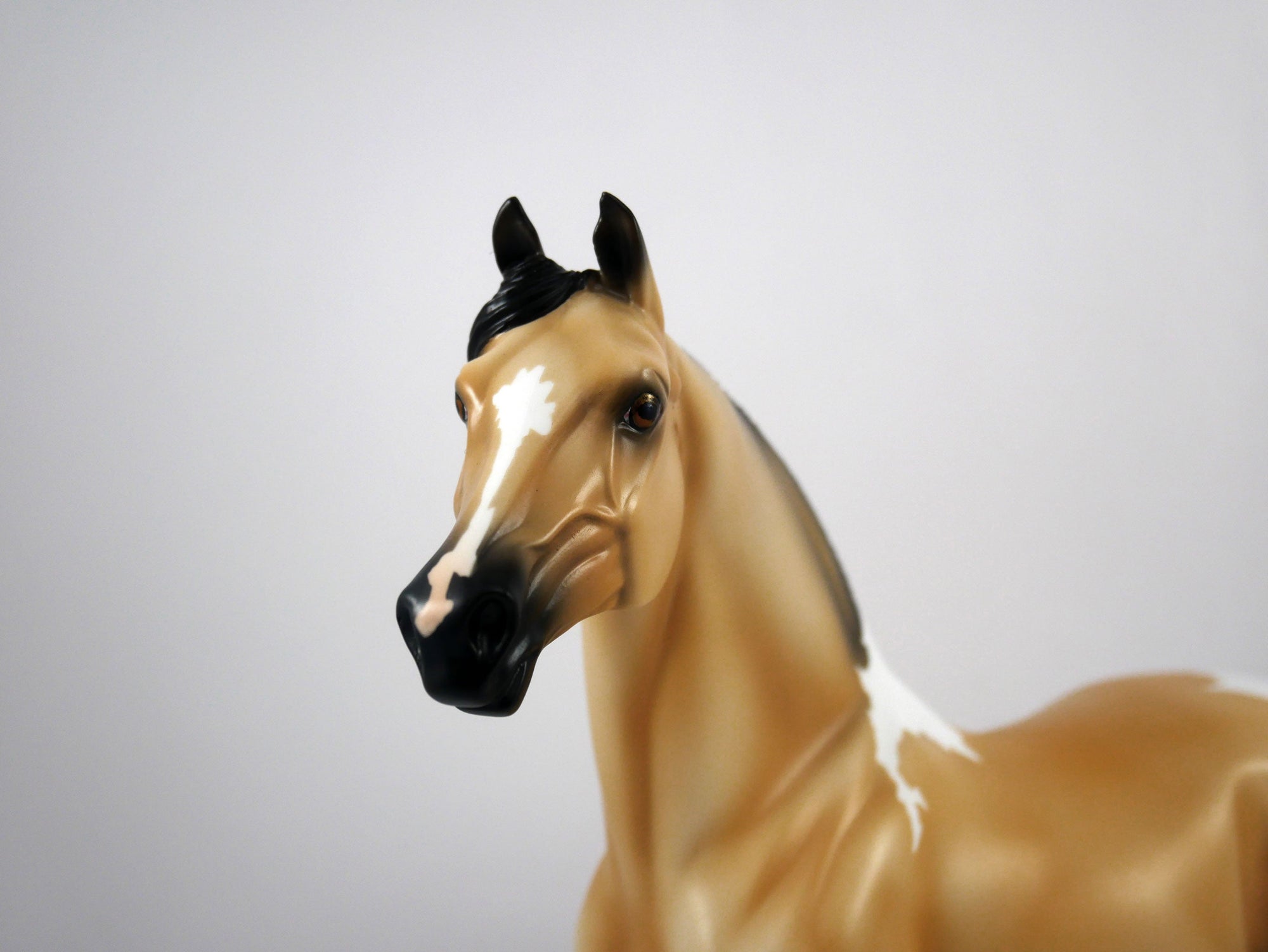 Ricky-OOAK Buckskin Paint Morgan by Ellen 1/29/21