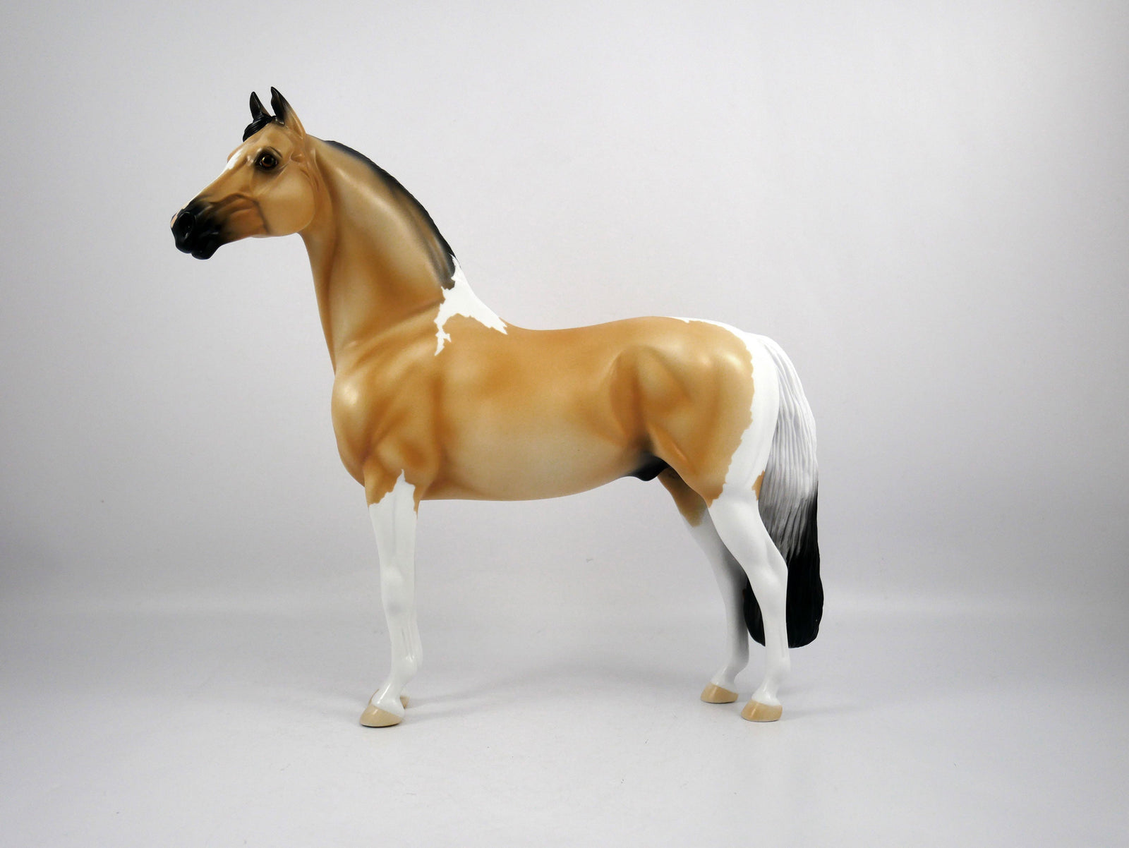 Ricky-OOAK Buckskin Paint Morgan by Ellen 1/29/21