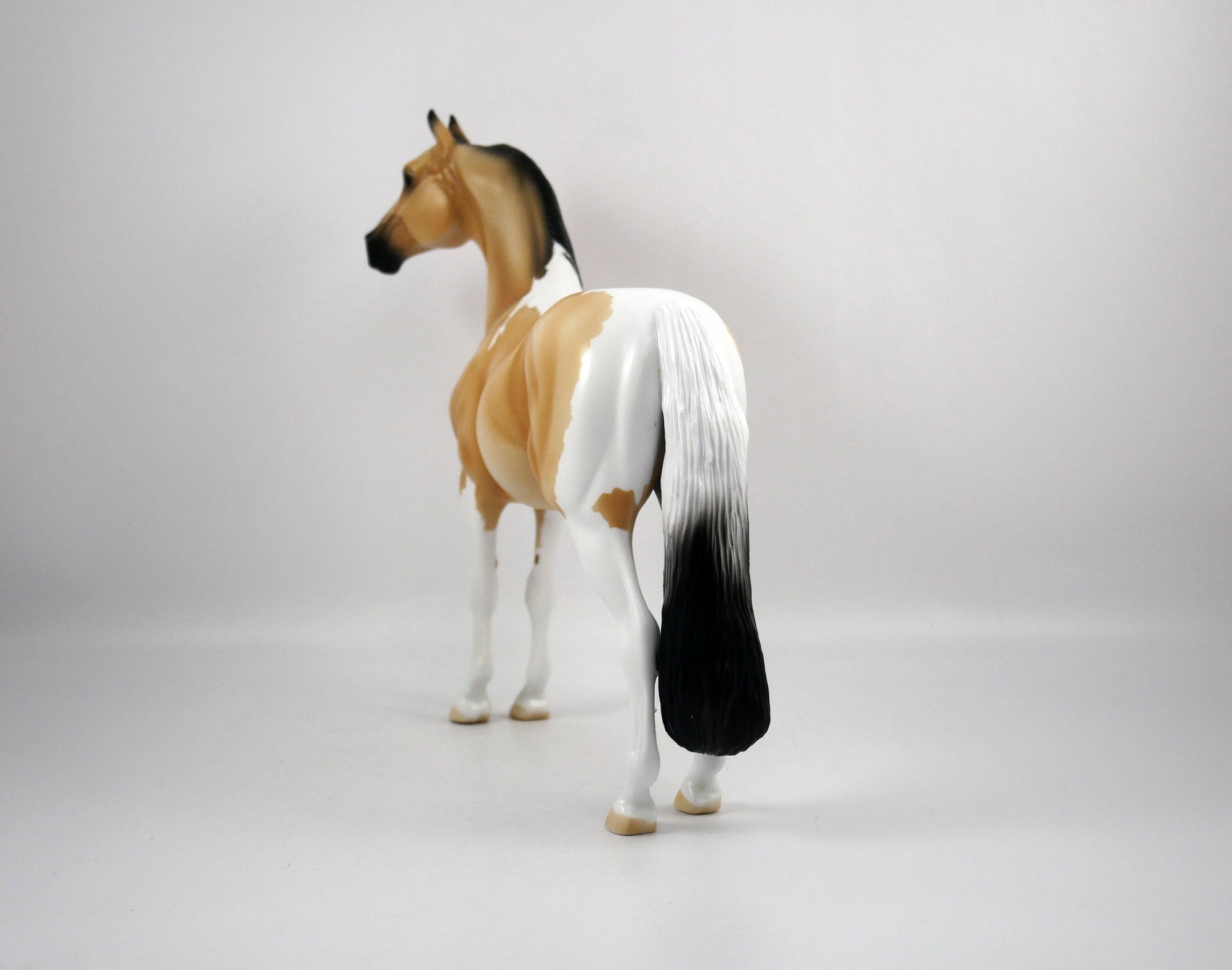 Ricky-OOAK Buckskin Paint Morgan by Ellen 1/29/21