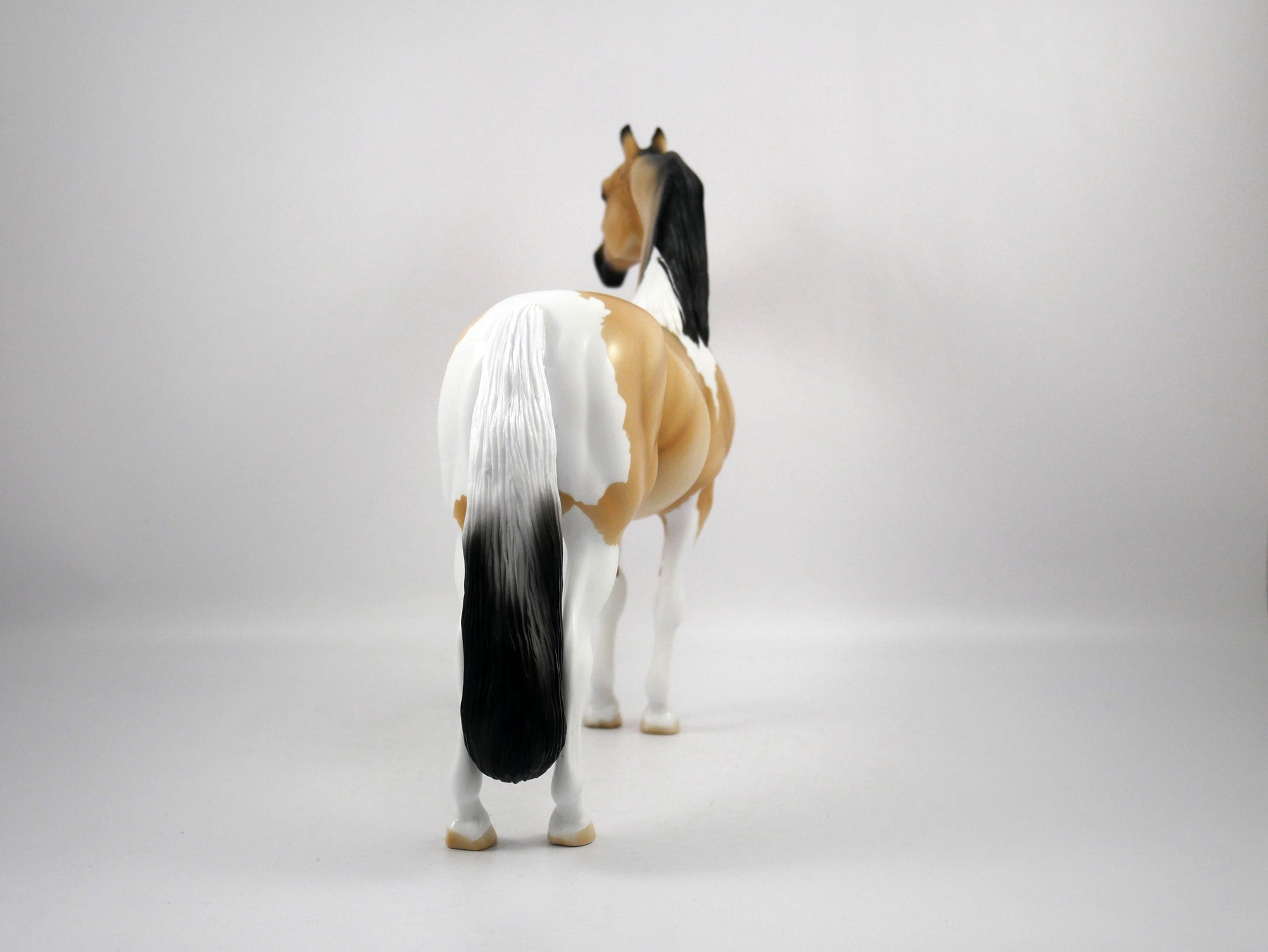 Ricky-OOAK Buckskin Paint Morgan by Ellen 1/29/21