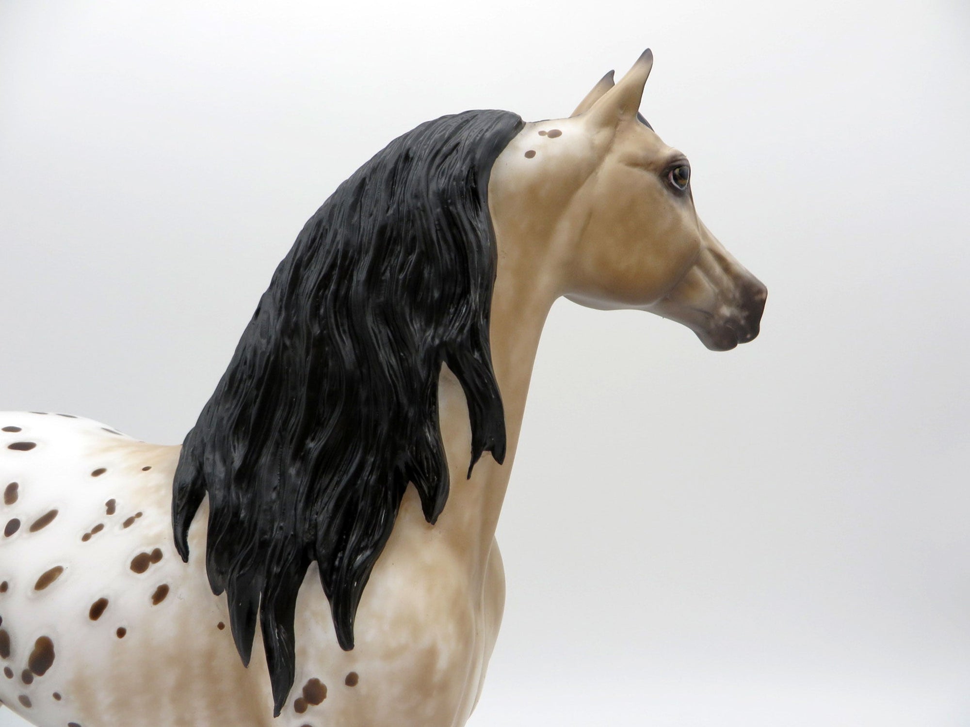 Right Bank-OOAK Appaloosa Morgan Painted By Sheryl Leisure 7/12/21