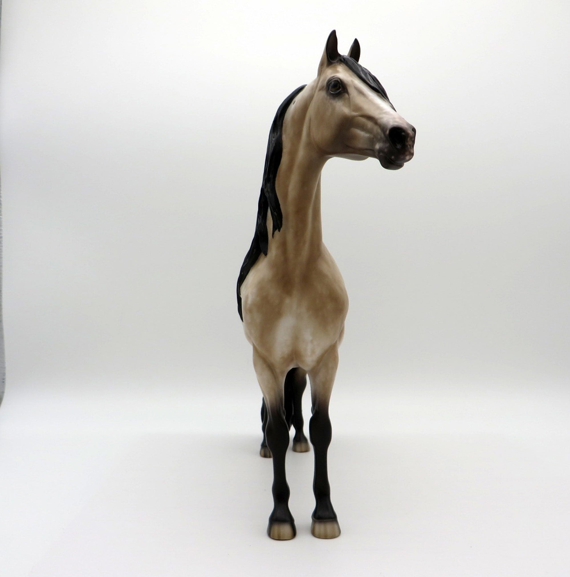 Right Bank-OOAK Appaloosa Morgan Painted By Sheryl Leisure 7/12/21