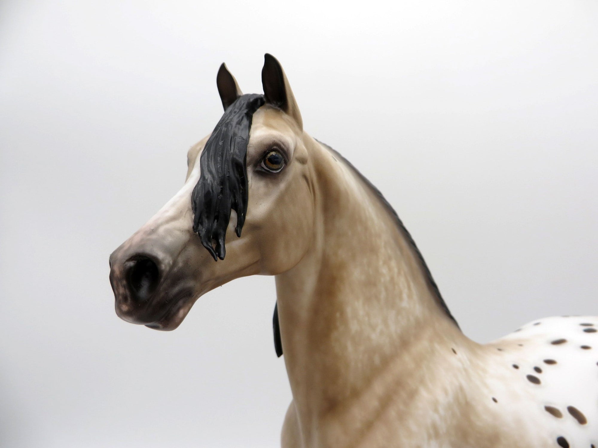 Right Bank-OOAK Appaloosa Morgan Painted By Sheryl Leisure 7/12/21