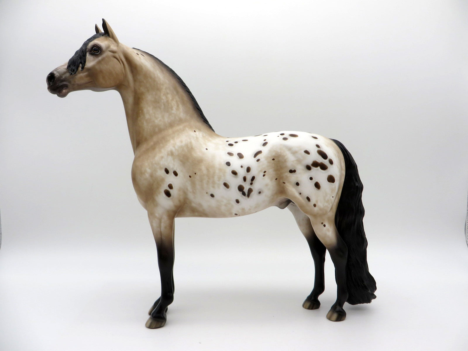 Right Bank-OOAK Appaloosa Morgan Painted By Sheryl Leisure 7/12/21