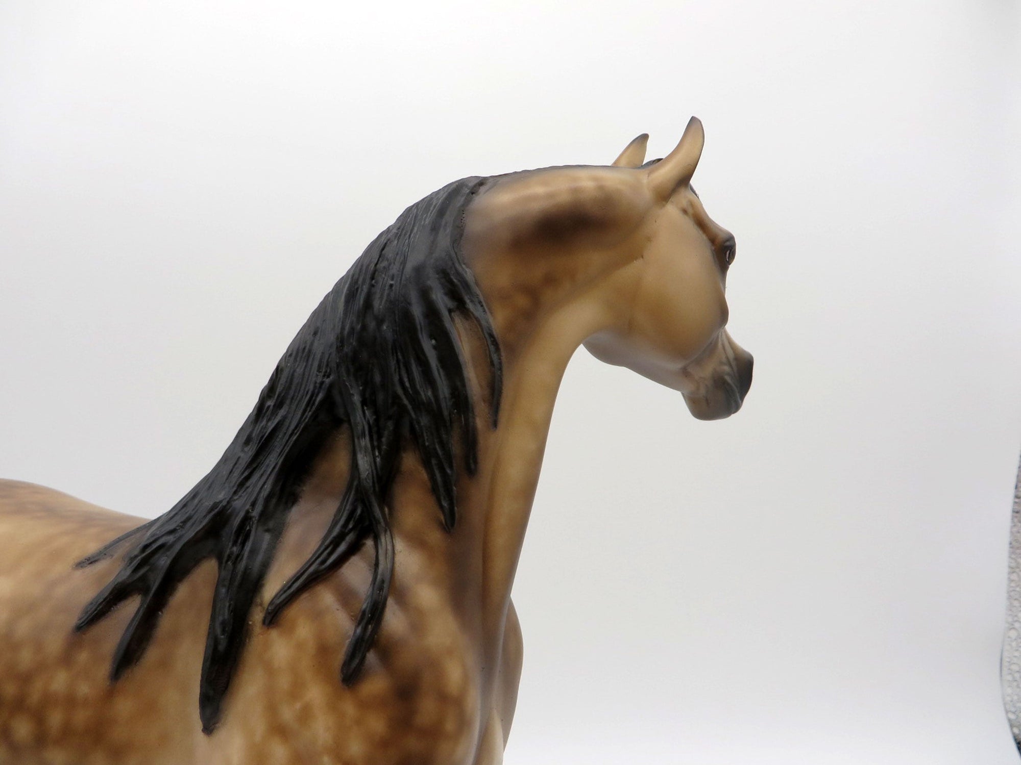 Right Click -OOAK Sooty Dapple Buckskin Arabian Painted By Sheryl Leisure 7/19/21