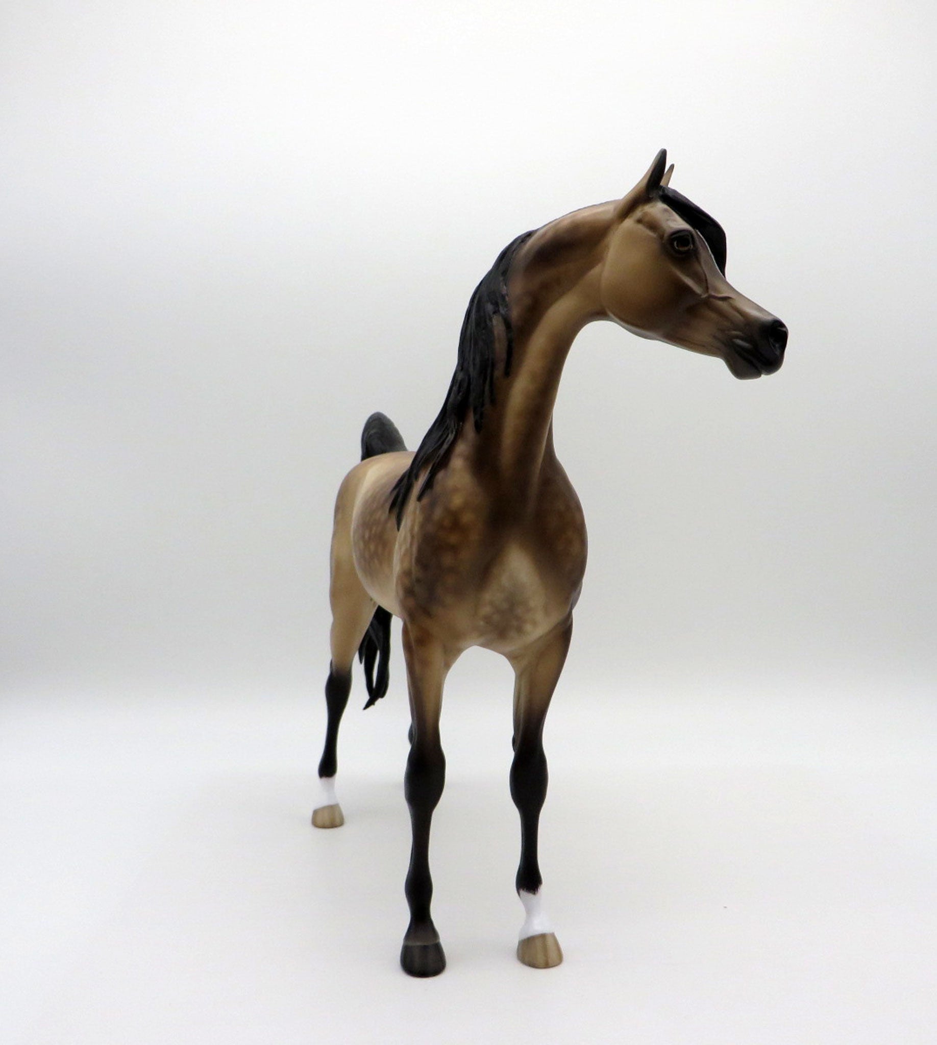 Right Click -OOAK Sooty Dapple Buckskin Arabian Painted By Sheryl Leisure 7/19/21