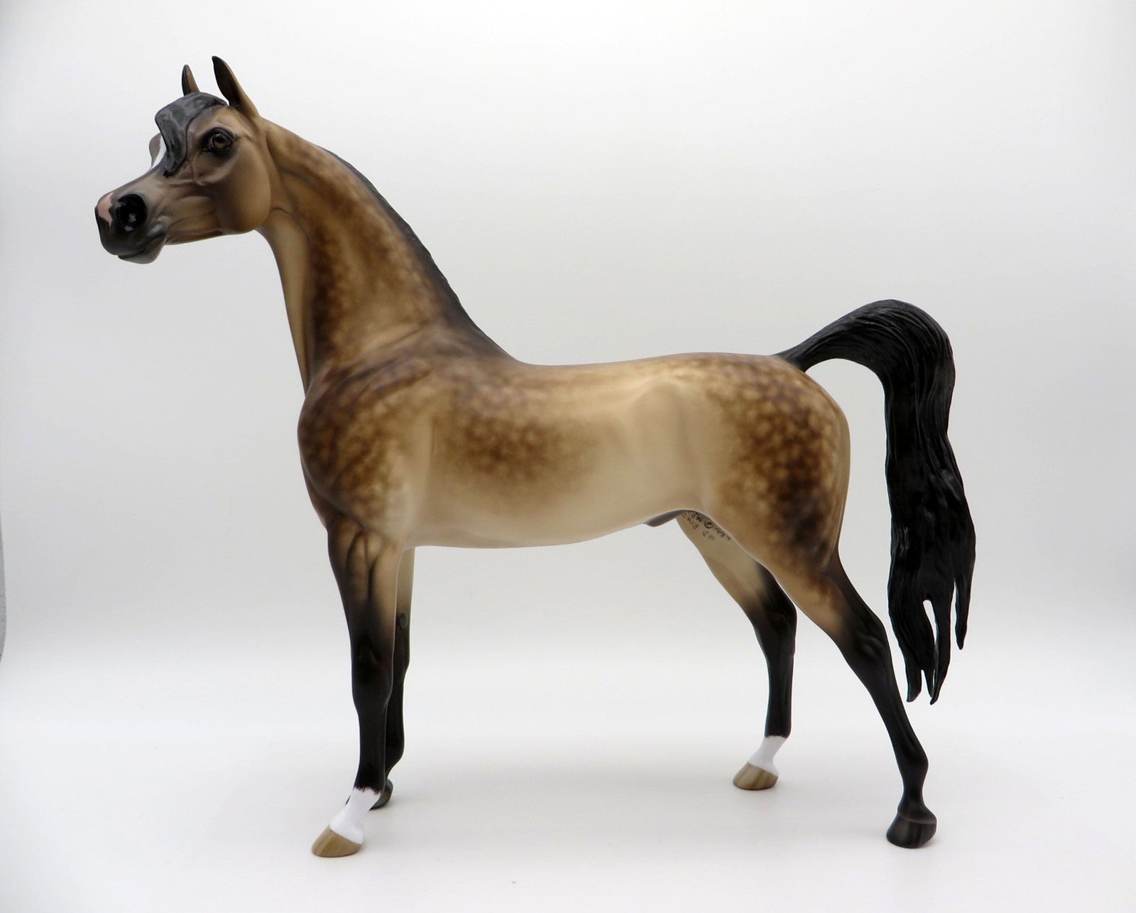 Right Click -OOAK Sooty Dapple Buckskin Arabian Painted By Sheryl Leisure 7/19/21