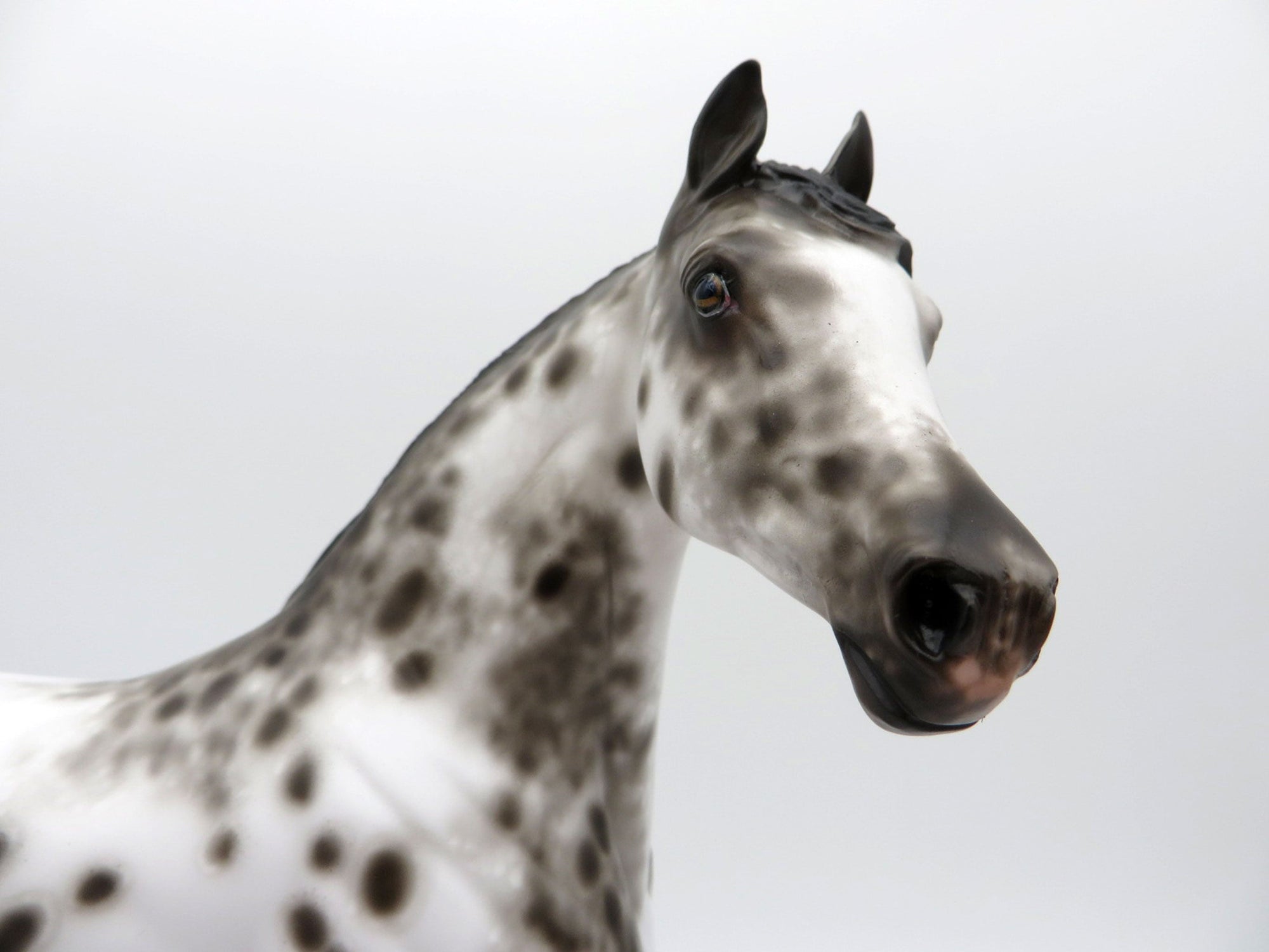 Right On - OOAK Loud Appaloosa Arabian Mare Painted By Sheryl Leisure 7/19/21