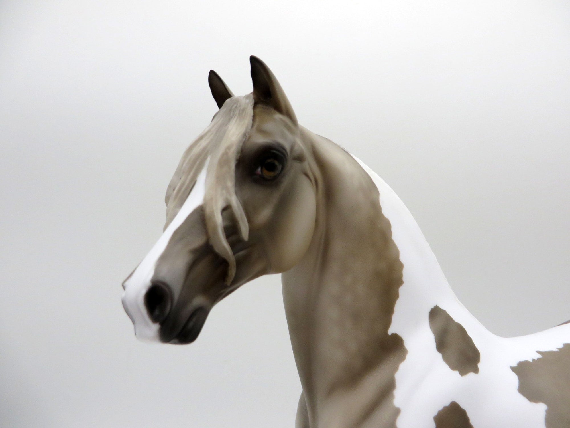 Ringley-OOAK Dapple Grey Tobiano Morgan Painted By Julie Keim EQ 21