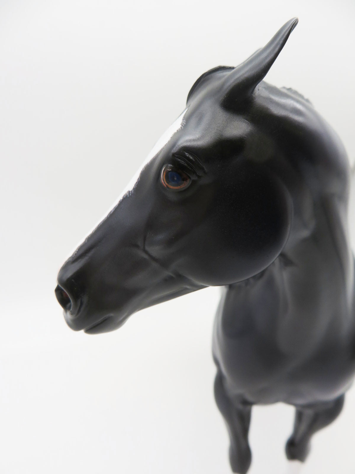 Ringo - OOAK - Dapple Black Ideal Stock Horse By Caroline Boydston BEST OFFER 11/07/22