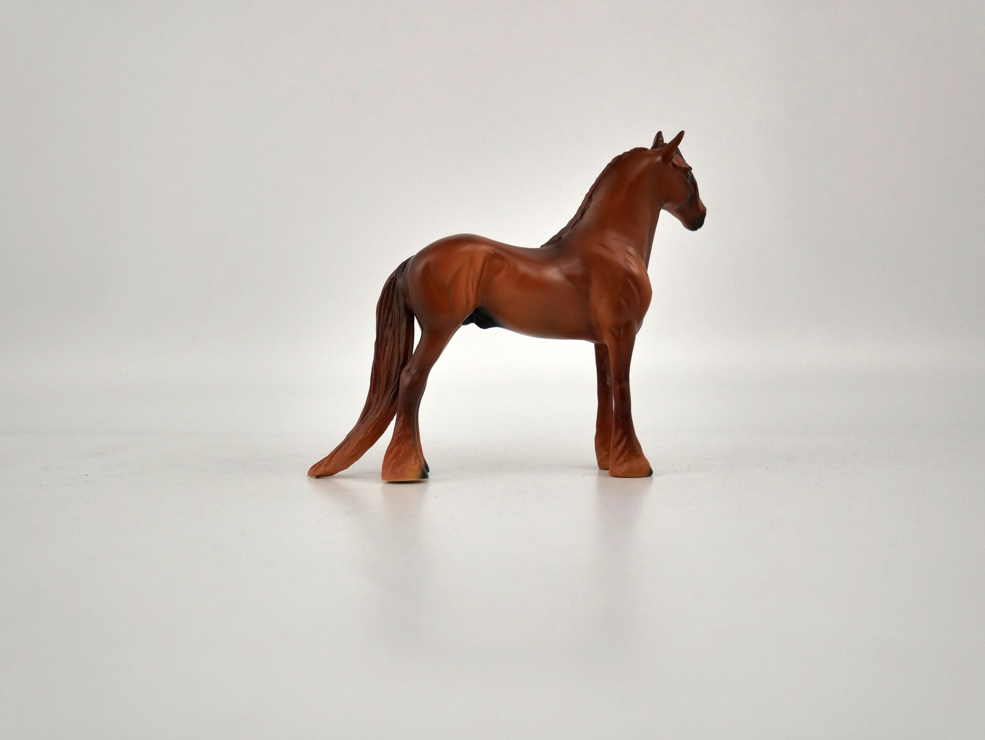 What is inside the Box&gt; Rio 12/20