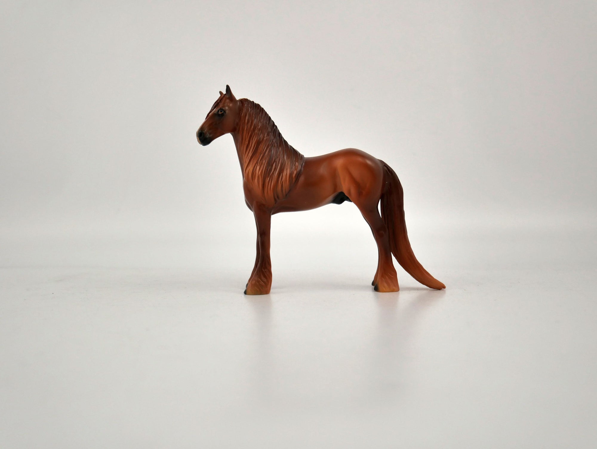 What is inside the Box> Rio 12/20