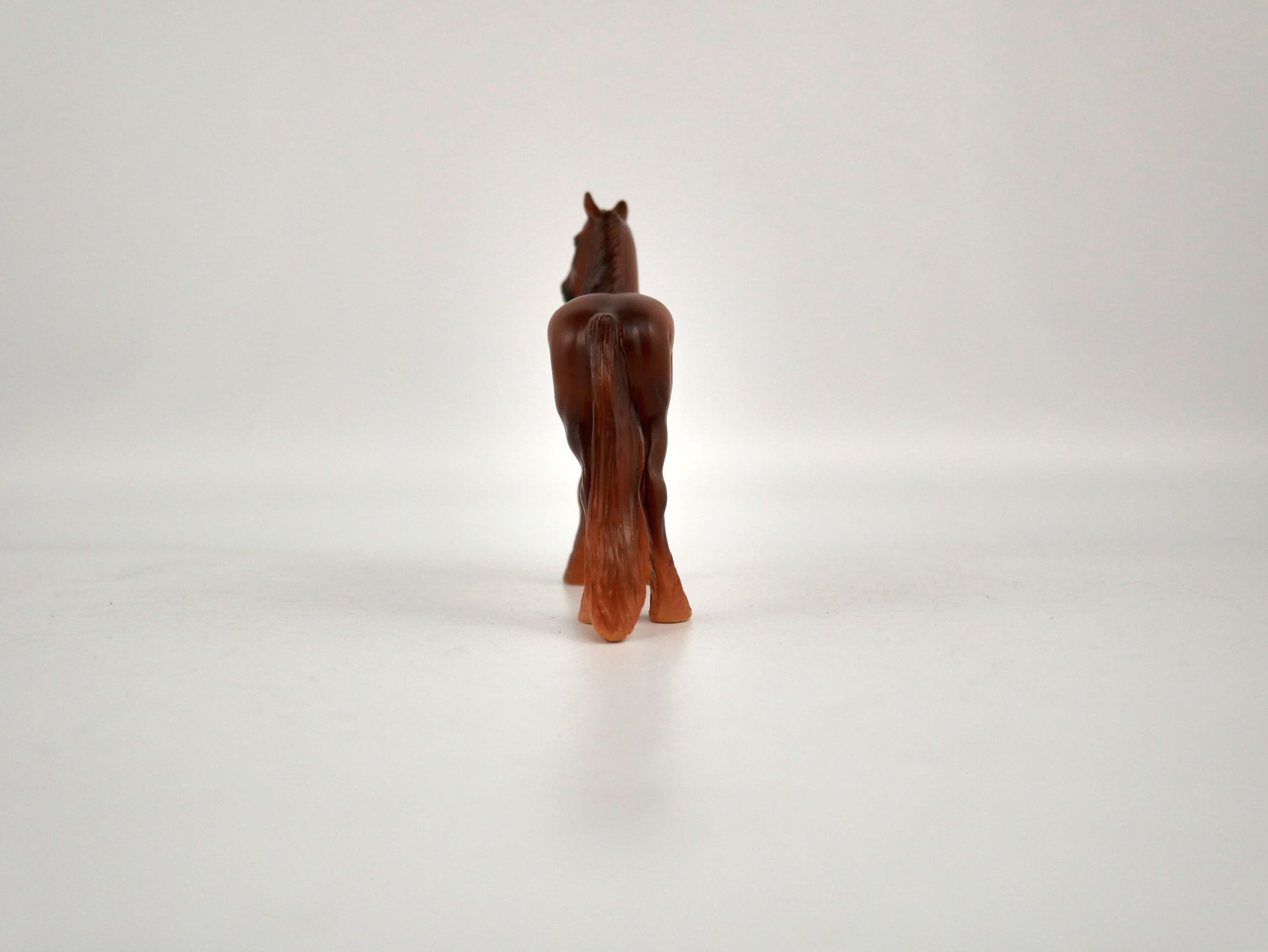 What is inside the Box&gt; Rio 12/20