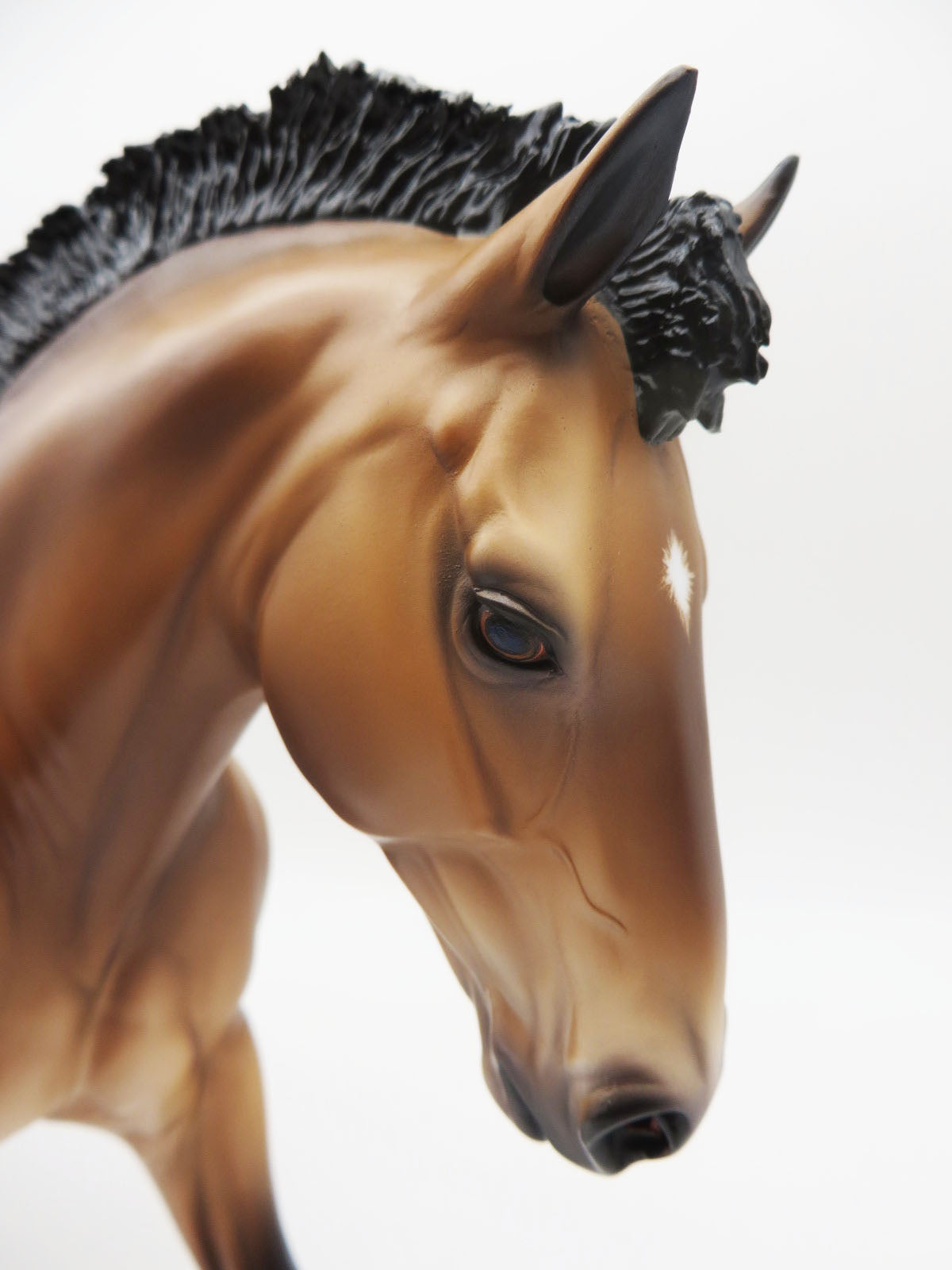 Roach - OOAK Dapple Buckskin Irish Draft By Caroline Boydston 11/21/22