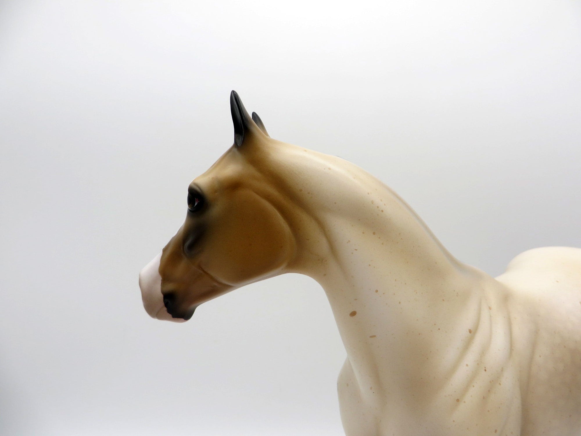 Roanie-OOAK Bay Roan ISH Painted By Audrey Dixon EQ 21