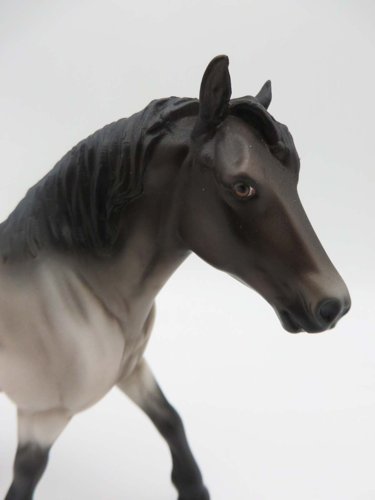 Roanie-OOAK Bay Roan Pebbles Draft By Angela Marleau-P&amp;C 23