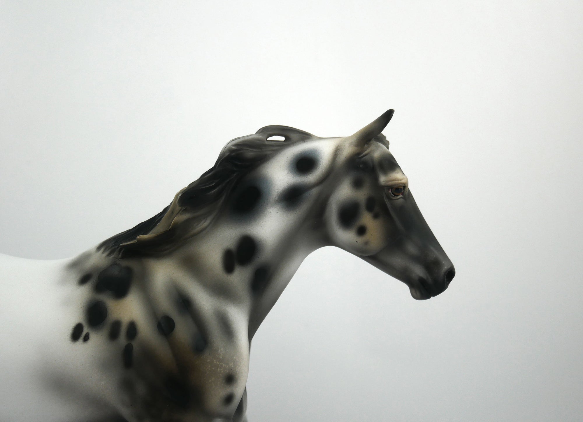 Rock On-OOAK Appaloosa Running Quarter Horse1/8/21