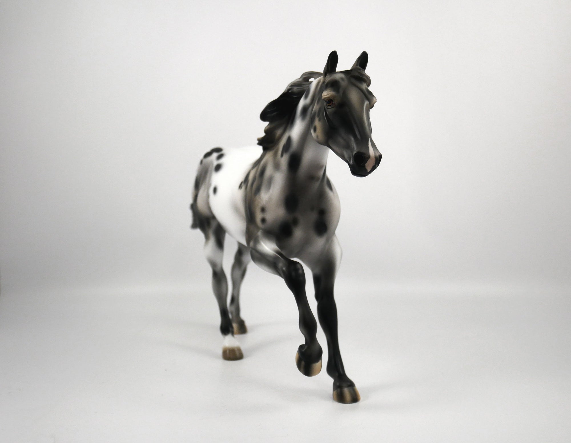 Rock On-OOAK Appaloosa Running Quarter Horse1/8/21