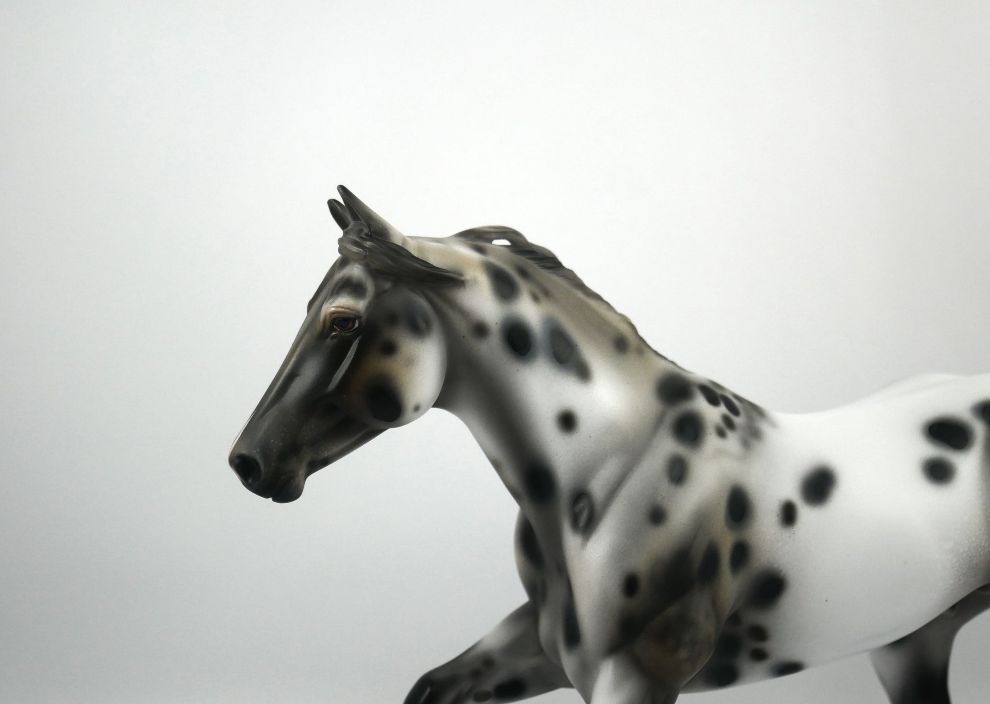 Rock On-OOAK Appaloosa Running Quarter Horse1/8/21