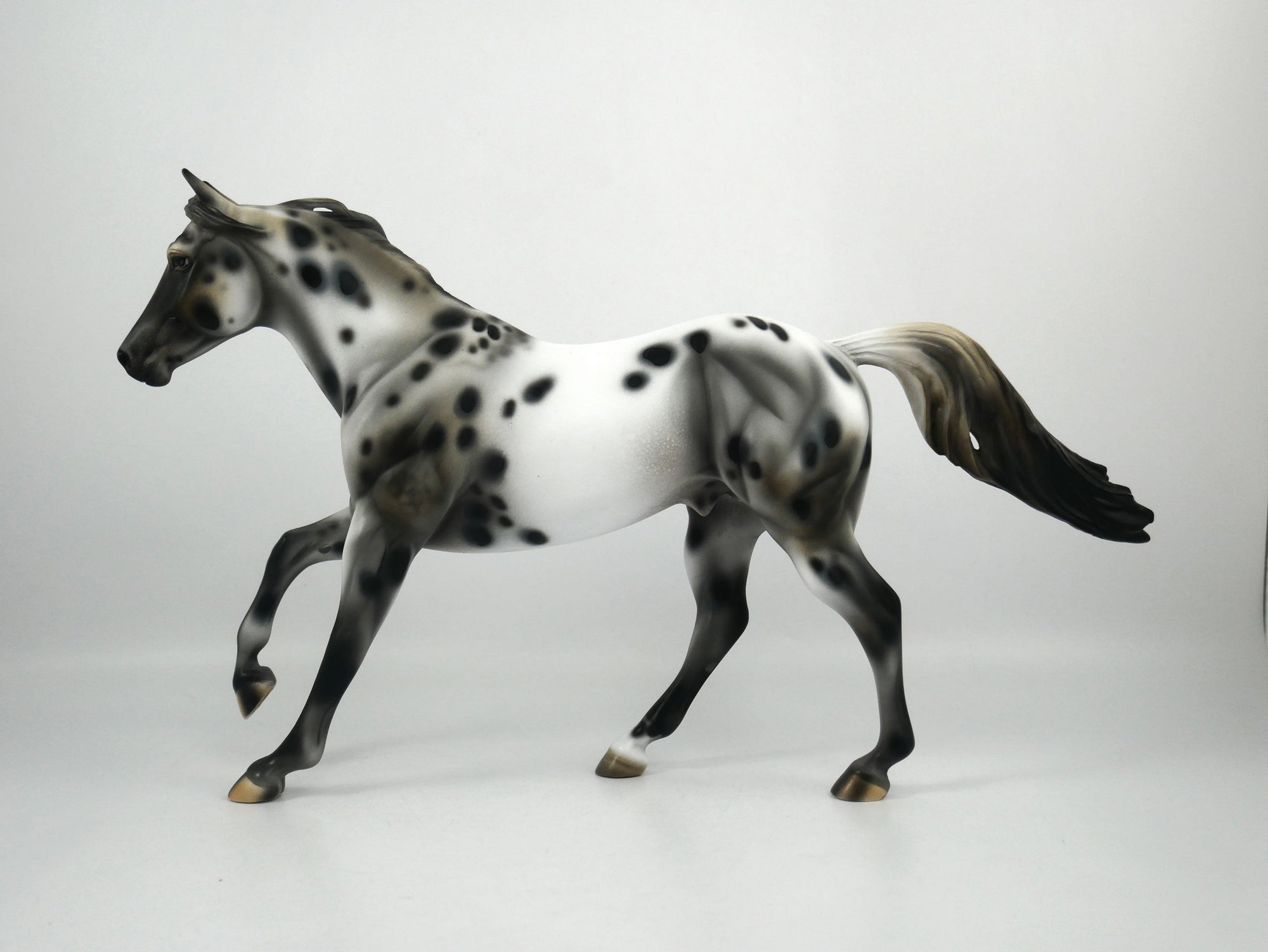 Rock On-OOAK Appaloosa Running Quarter Horse1/8/21