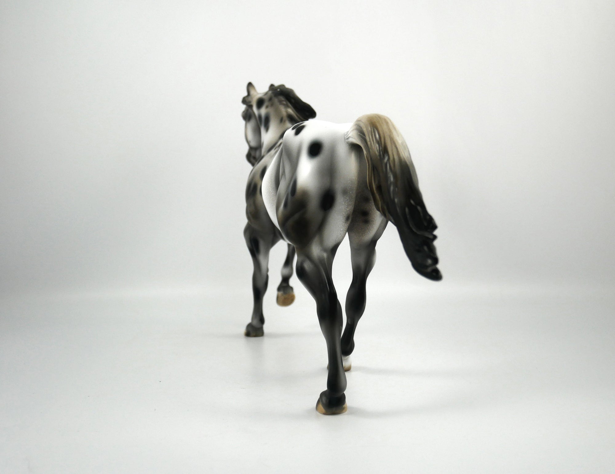 Rock On-OOAK Appaloosa Running Quarter Horse1/8/21