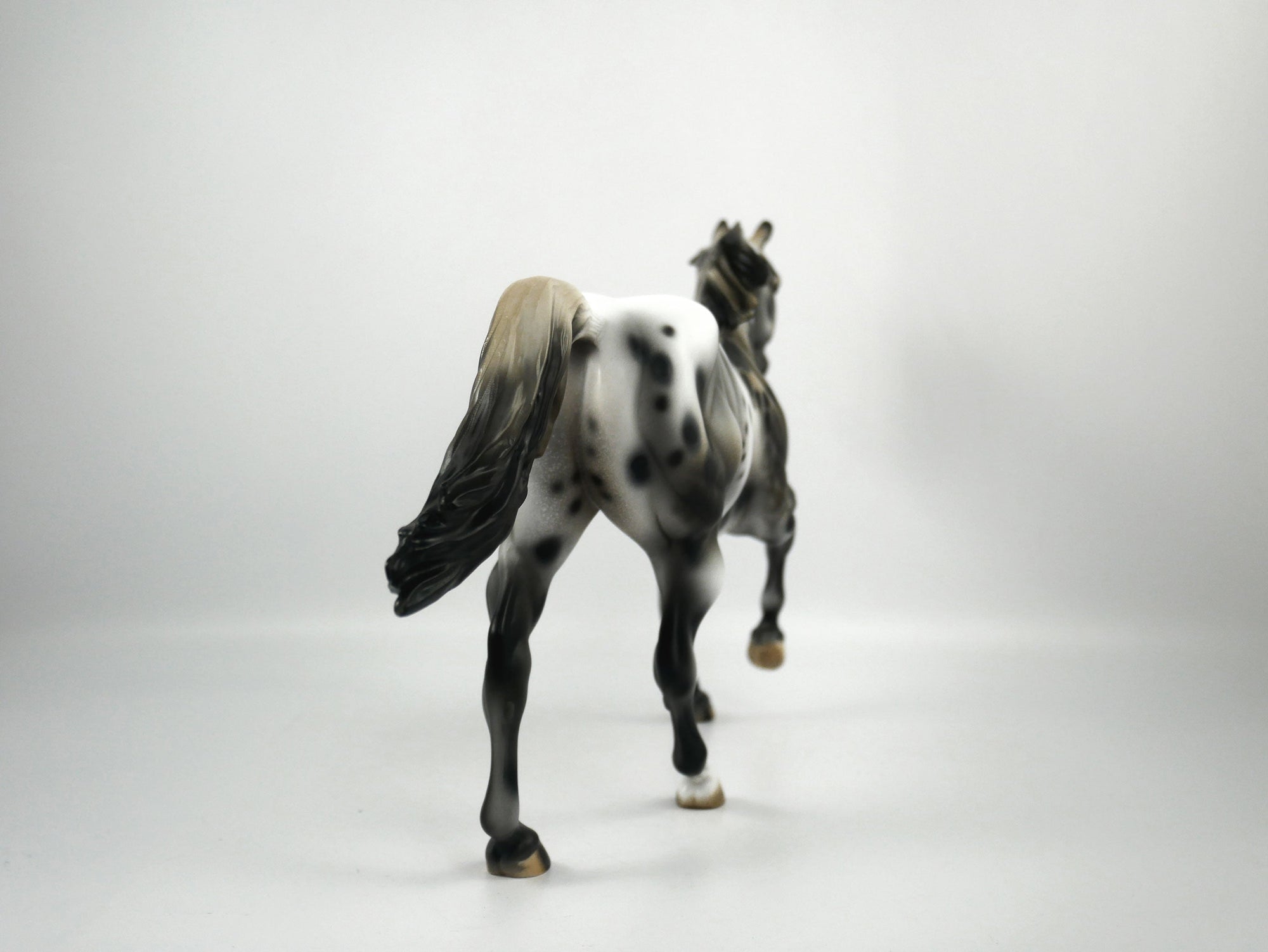 Rock On-OOAK Appaloosa Running Quarter Horse1/8/21